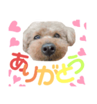てんこのスタンプ♡（個別スタンプ：6）