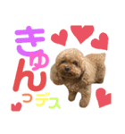 てんこのスタンプ♡（個別スタンプ：9）