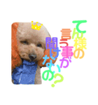 てんこのスタンプ♡（個別スタンプ：10）