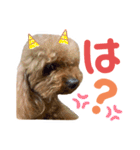 てんこのスタンプ♡（個別スタンプ：12）