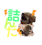 てんこのスタンプ♡（個別スタンプ：15）