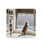 ピピとくう。（個別スタンプ：8）