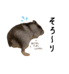 おはぎちゃん♀3（個別スタンプ：2）