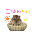 おはぎちゃん♀3（個別スタンプ：5）