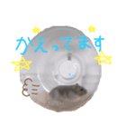 おはぎちゃん♀3（個別スタンプ：7）