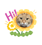 猫のうにくん3（個別スタンプ：5）