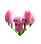 花言葉メッセージ（個別スタンプ：1）