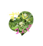 花言葉メッセージ（個別スタンプ：4）