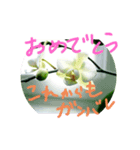 花言葉メッセージ（個別スタンプ：5）