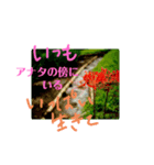 花言葉メッセージ（個別スタンプ：6）