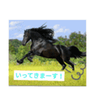 使えるお馬さん（個別スタンプ：4）