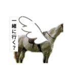 使えるお馬さん（個別スタンプ：7）