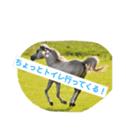 使えるお馬さん（個別スタンプ：9）
