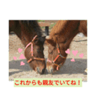 使えるお馬さん（個別スタンプ：10）