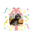 蘭丸 PART2（個別スタンプ：4）