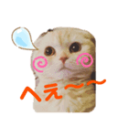 スコのプアちゃん（個別スタンプ：6）