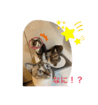 ネコたちの可愛い返事シリーズその1（個別スタンプ：2）