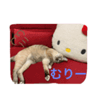 ネコたちの可愛い返事シリーズその1（個別スタンプ：7）
