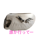 ネコたちの可愛い返事シリーズその1（個別スタンプ：18）