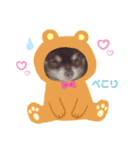 チワワのチョコちゃん②（個別スタンプ：7）