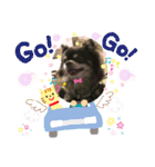チワワのチョコちゃん②（個別スタンプ：16）