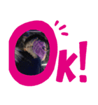諄也くんと一緒！！①（個別スタンプ：14）