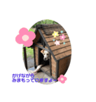 たろスタ②（個別スタンプ：1）