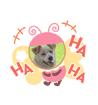たろスタ②（個別スタンプ：6）