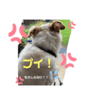 たろスタ②（個別スタンプ：9）