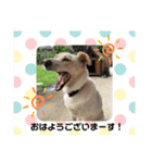たろスタ②（個別スタンプ：11）