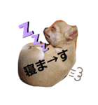 気分の（個別スタンプ：4）