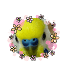 インコのうーちゃんスタンプ2（個別スタンプ：6）