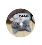 ししゃもんもん2（個別スタンプ：6）