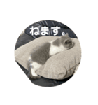 ししゃもんもん2（個別スタンプ：8）