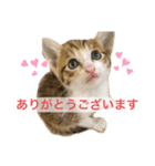 かわいいぽんず♡（個別スタンプ：2）
