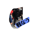 じんぶんこれくしょん その1（個別スタンプ：13）
