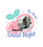 マッチマチ（個別スタンプ：5）