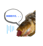 Nagoya.Fishing.Party.（個別スタンプ：11）