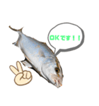 Nagoya.Fishing.Party.（個別スタンプ：13）