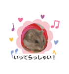 どうぶつさんたち！（個別スタンプ：5）