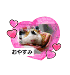 どうぶつさんたち！（個別スタンプ：6）