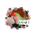 どうぶつさんたち！（個別スタンプ：7）