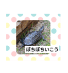 どうぶつさんたち！（個別スタンプ：8）