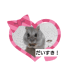 どうぶつさんたち！（個別スタンプ：9）