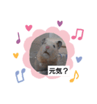 どうぶつさんたち！（個別スタンプ：10）