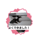 どうぶつさんたち！（個別スタンプ：15）