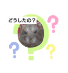 どうぶつさんたち！（個別スタンプ：21）