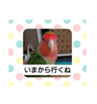 どうぶつさんたち！（個別スタンプ：24）