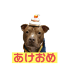 大和だよパート1（個別スタンプ：2）