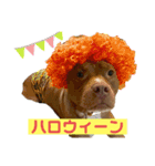 大和だよパート1（個別スタンプ：6）